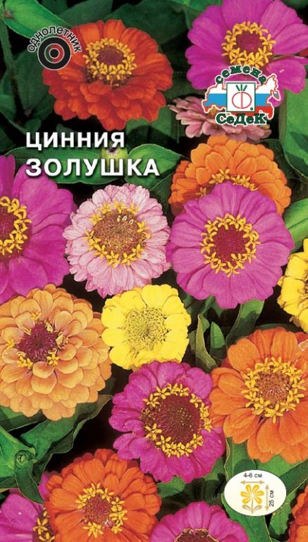 Трогательное поздравление на золотую свадьбу Трогательное поздравление на золотую свадьбу